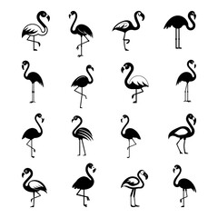 Flamingo black silhouette icon set isolated on white background. Exotic simple bird symbol. Vector illustration.