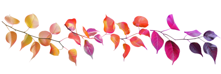 set of festive creepers with multicolored leaves, suitable for holiday decorations, isolated on transparent background