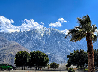 Desert landscape near Joshua Tree National Park
