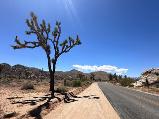 Desert landscape near Joshua Tree National Park