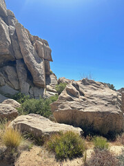 Landscape at Joshua Tree National Park