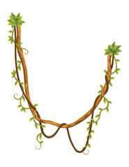Liana branch. Twisted wild jungle vine plants. Woody natural tropical rainforest, exotic botany element. Vector design element