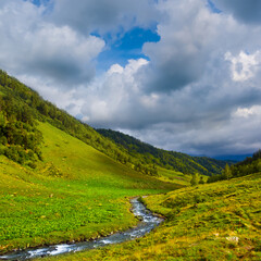 Obraz premium small brook flow among green mountain valley under a cloudy sky
