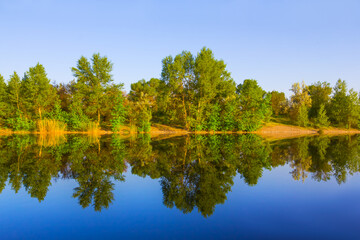 calm summer river with forest on coast