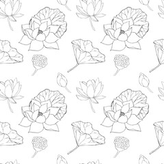 Seamless pattern with lotus flowers, leaves and buds black. Vector line illustration. Outline floral drawing for for logo, tattoo, packaging design, compositions. Water Lily botanical vector design.