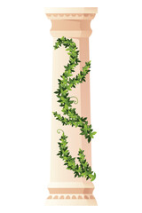 Naklejka premium Ancient ivy covered column. Museum and exhibition. Cartoon greek or roman pillar with climbing ivy branches. Antique foliage decorated element. Cartoon flat vector isolated on white