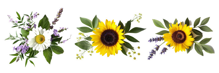 set of arrangements of daisies, sunflowers, and lavender with greenery, isolated on transparent background