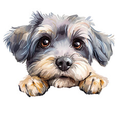 dandie dinmont terrier, watercolor art peeking dog portrait clipart