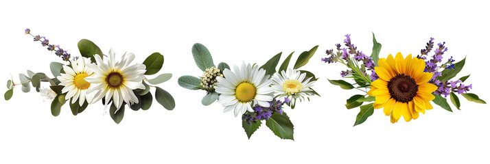 set of arrangements of daisies, sunflowers, and lavender with greenery, isolated on transparent...