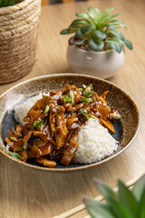 Delicious teriyaki chicken