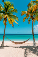 A hammock hangs between palm trees on the sandy seashore, with the azure ocean stretching to the horizon in the background. Sun Ray.