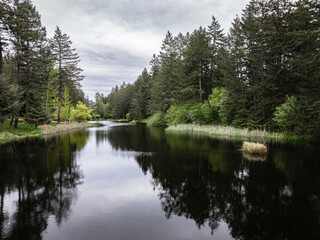 Lake reflection with green trees