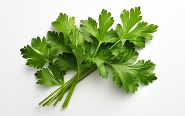 Parsley Leaf on a See-Through Background