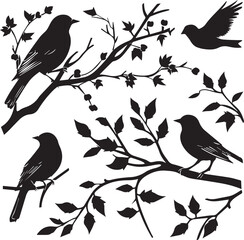 Birds Black Silhouettes on a Tree Branch