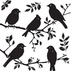 Birds Black Silhouettes on a Tree Branch