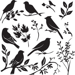 Birds Black Silhouettes on a Tree Branch