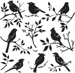 Birds Black Silhouettes on a Tree Branch