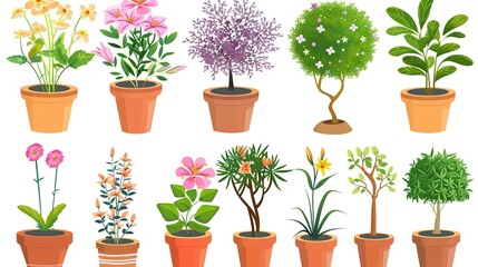 A vibrant collection of different potted plants with unique foliage and blooms