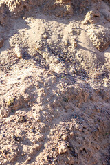 Brown soil mixture with small rocks, resembling a bedrock landscape