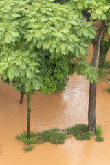 Flood in southern Brazil leaves the city of Igrejinha flooded and residents are rescued