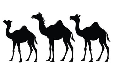 Camels Silhouettes Clipart Set, Camel Silhouette black Vector Bundle design