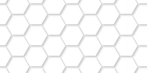 Abstract pattern with hexagonal white and gray technology line paper background. Hexagonal 3d vector grid tile and mosaic structure mess cell. white and gray hexagon honeycomb geometric copy space.