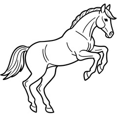 Horse vector illustration