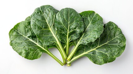 A close-up image of a bunch of fresh, green collard greens.