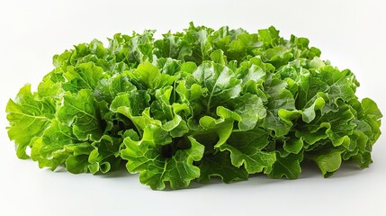 A close-up image of a head of lettuce on a white background. The lettuce is fresh and green, with crisp leaves.