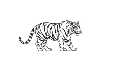 Obraz premium tiger illustration tattoo