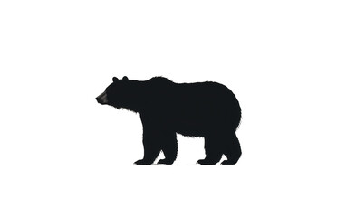 Fototapeta premium silhouette of a bear