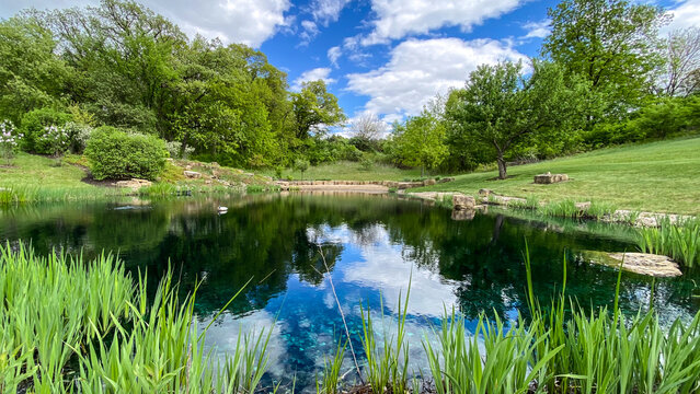 Countryside Pond with Reflections in the Spring