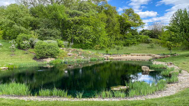 Countryside Pond with Reflections in the Spring