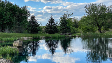 Countryside Pond with Reflections in the Spring