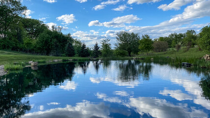 Countryside Pond with Reflections in the Spring