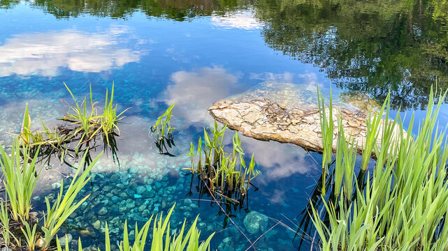 Countryside Pond with Reflections in the Spring