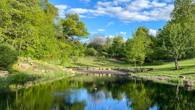 Countryside Pond with Reflections in the Spring