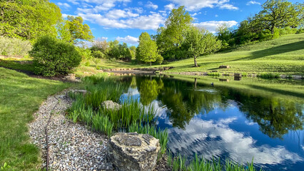 Countryside Pond with Reflections in the Spring