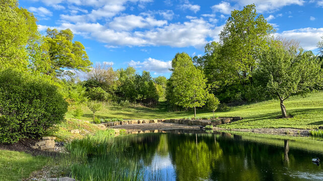 Countryside Pond with Reflections in the Spring
