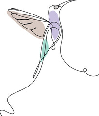 Hummingbird one line art design. Hand drawn illustration of hummingbird. Isolated bird. transparent.