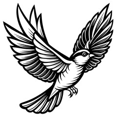 Bird flying outline vector illustration