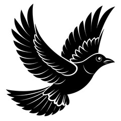 Bird flying silhouette vector illustration