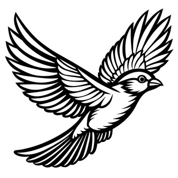 recommend clip art: Bird flying line art vector illustration