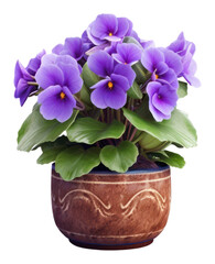 PNG African violet flower plant pot. AI generated Image by rawpixel.
