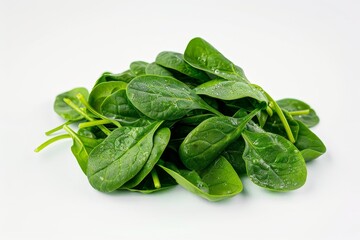 Fresh green spinach leaves