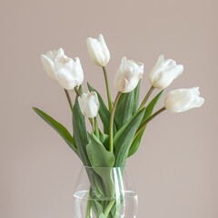 Elegant white tulips in glass vase