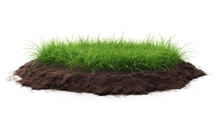 A round soil ground section isolated on a transparent background