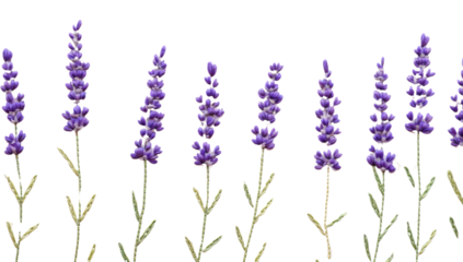 PNG Little Lavender lavender pattern embroidery.