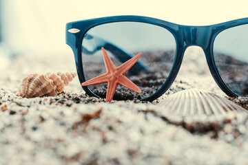 Sunglasses and starfish on sand with seashells. Travel concept.