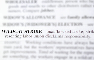 Obraz premium close up photo of the words wildcat strike